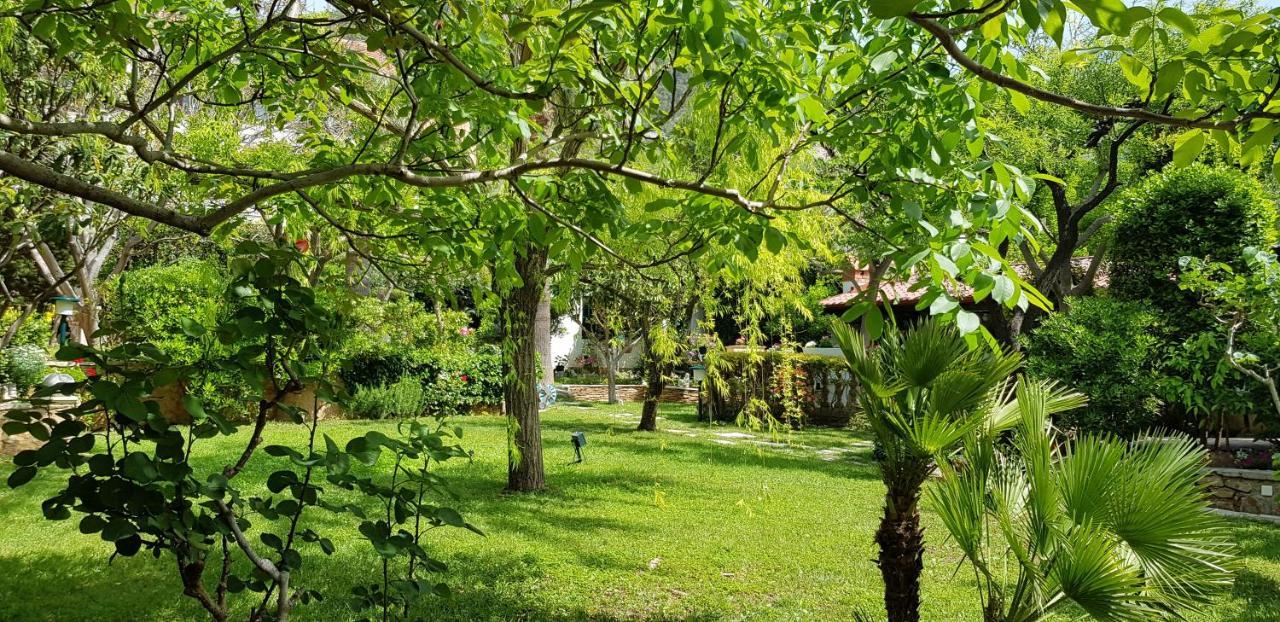 Villa Giardino Heritage Boutique Hotel Μπολ Εξωτερικό φωτογραφία